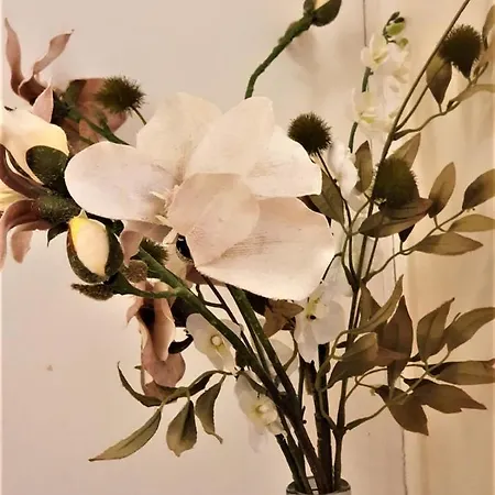 Design Barcelonanights